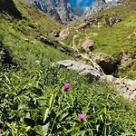 La Bohemia De
