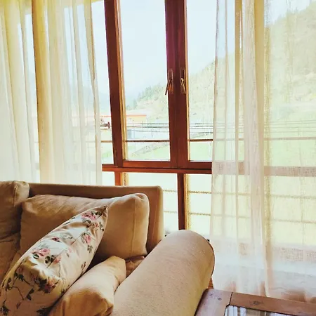 La Bohemia De Daire Potes