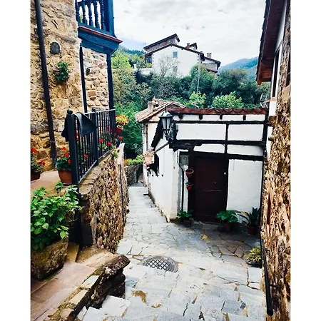 La Bohemia De * 波特斯