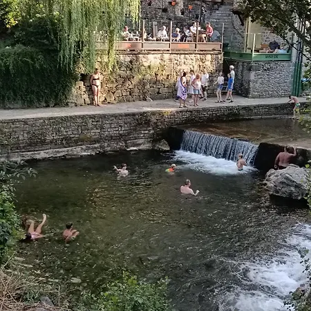 La Bohemia De
