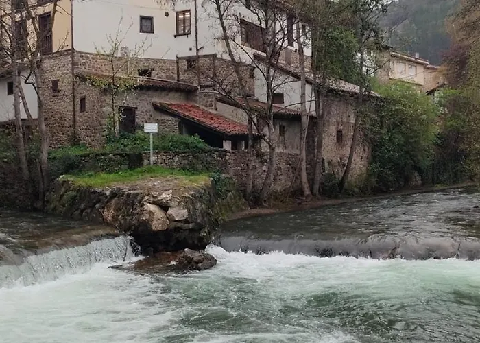 La Bohemia De * Potes