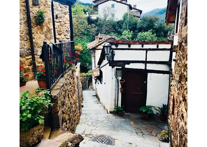 La Bohemia De * Potes